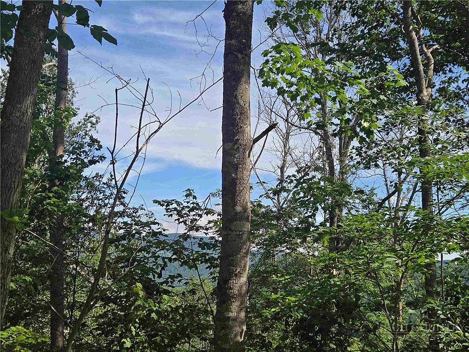 1st image of TBD Green Cove Road