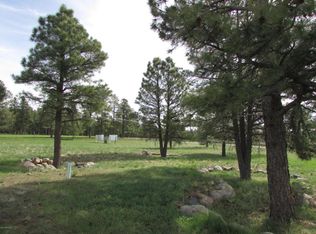 31 Anthem Dr, Williams, AZ 86046