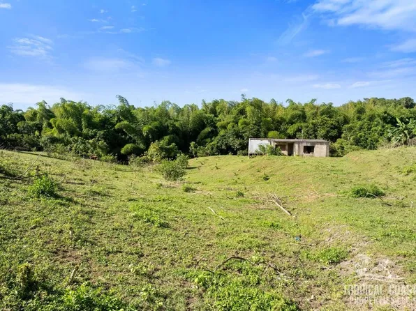 Bo Pedernales Carr 100, Cabo Rojo, PR 00623