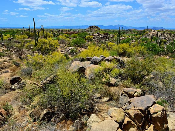 3rd image of 1186 W Tortolita Mountain Cir