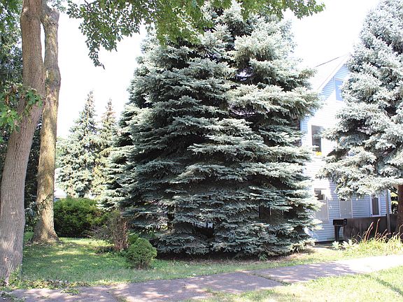 3rd image of 4414 S Knox Ave