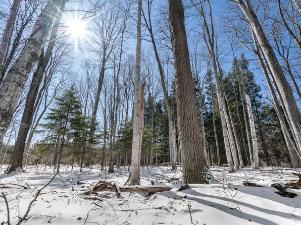 San Marino Trl, Kewadin, MI 49648