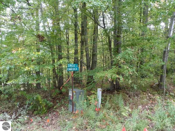 1044 Circle Dr, Lake Isabella, MI 48893