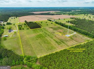 759 Pitts Rd, Hawkinsville, GA 31036