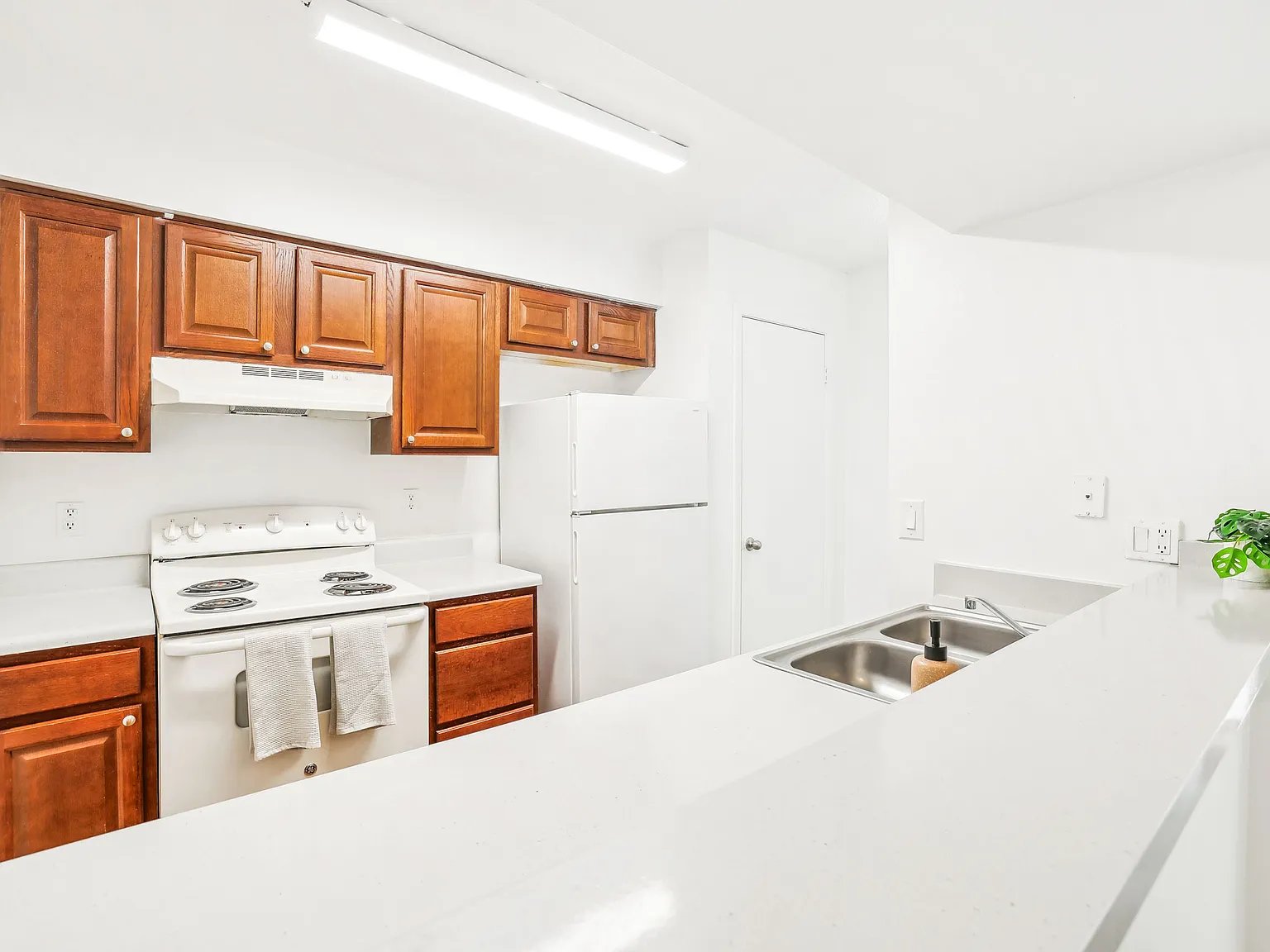 Bella Casa — Photo 3