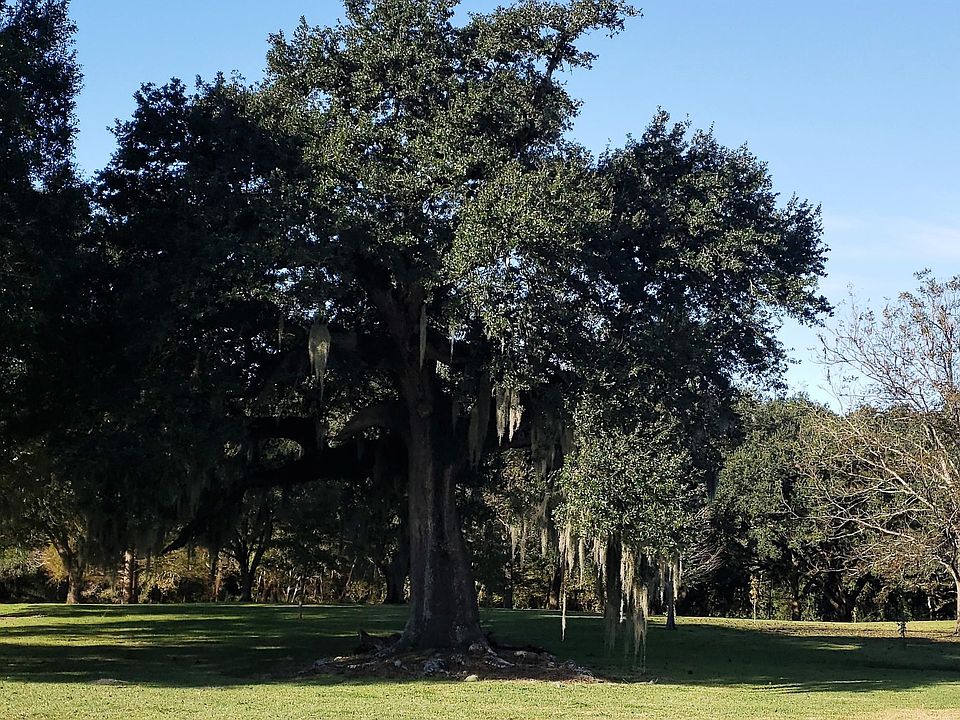 2nd image of Tbd Anse Broussard Hwy