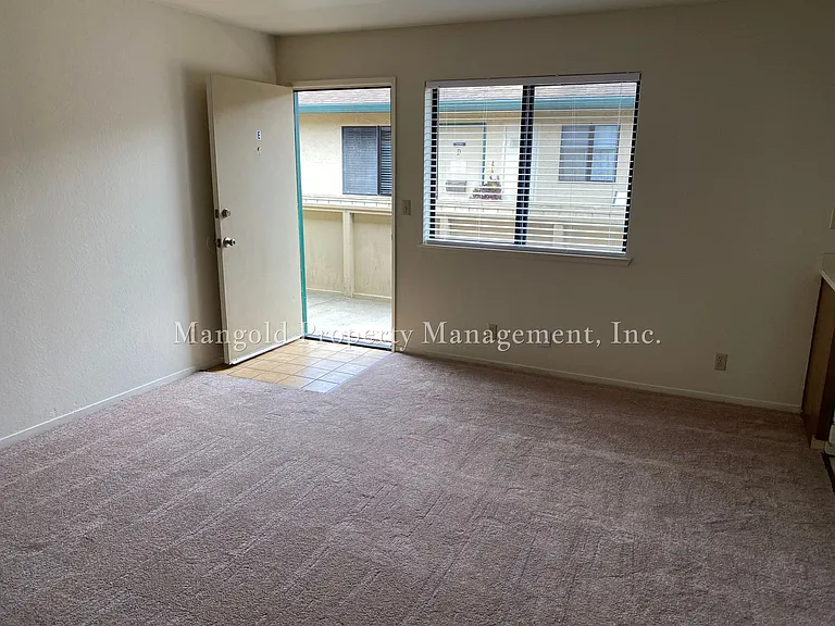 Perez — Photo 4