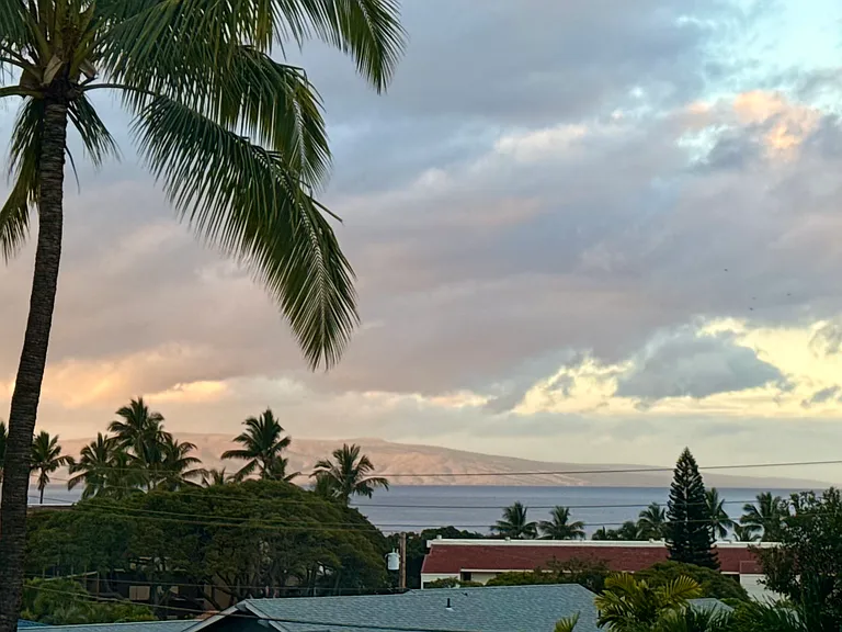 Awihi Pl — Photo 8