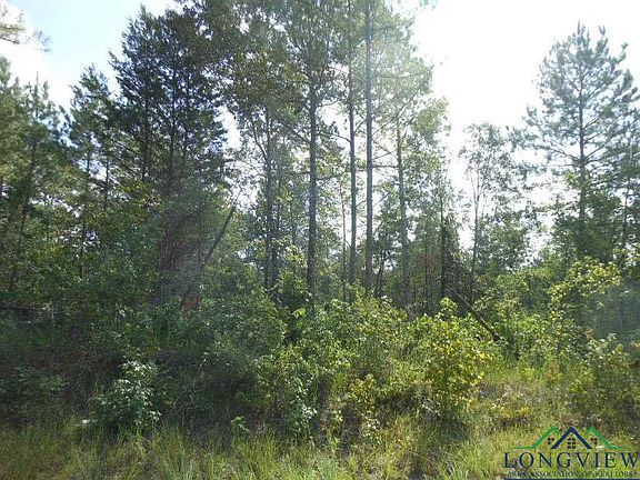 4th image of 4.8 Tbd Petunia Road 4 8 Ac