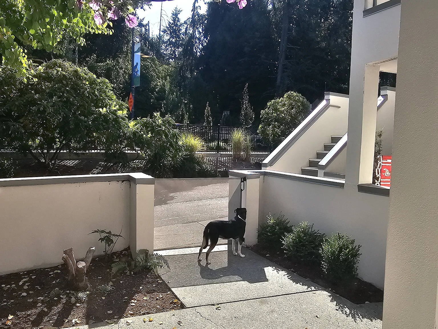 2 bed, 1.5 bath, 1265 sqft, $2,850 — Photo 4