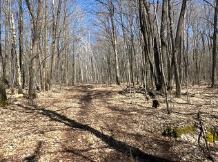 Xxs Merlin Rd, Hillman, MN 56338