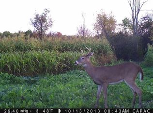 4200 Martin Rd, Mussey, MI 48014