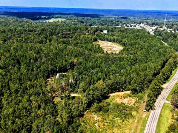 0 Pheasant Rd, Gilbertown, AL 36908