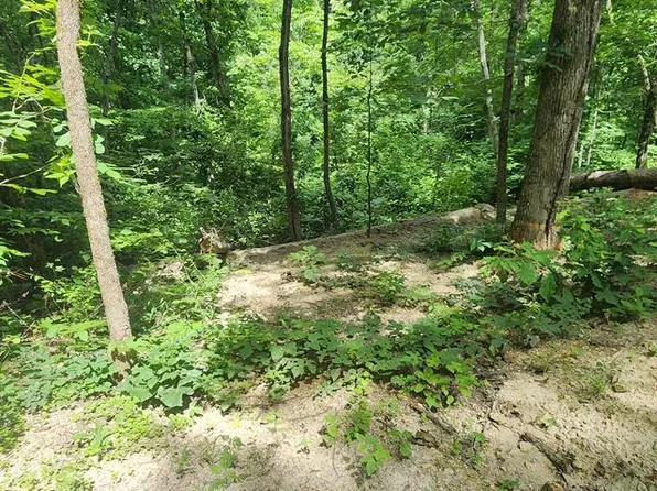 730 Lakeview Trail Dr, Holladay, TN 38341