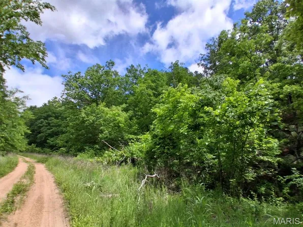 0M Golden Dr, Raymondville, MO 65555