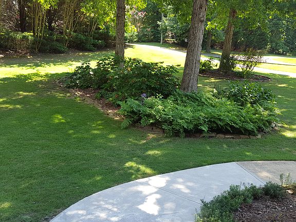 View from front porch