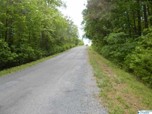 County Road 641, Mentone, AL 35984
