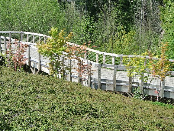 Walking and running trails