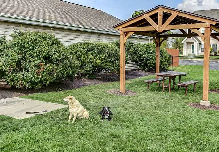 Fully Fenced in Dog Park