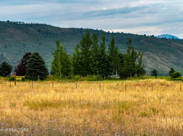 87 & 95 Bison Dr, Victor, ID 83455