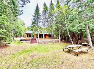 51317 Pine Point Rd, Bigfork, MN 56628