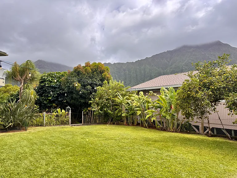 Back Yard