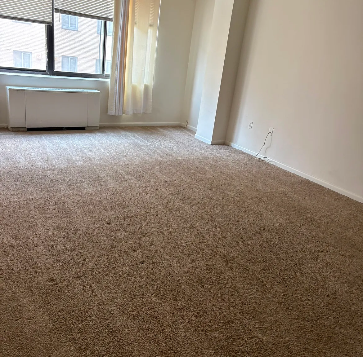 Main Living Area