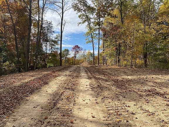3rd image of Blossom Ln