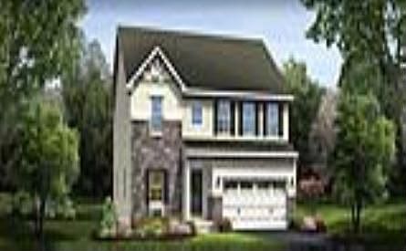 ElevationImage