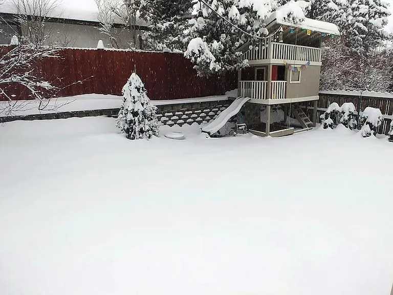 Snowy yard after 100yr record snowfall