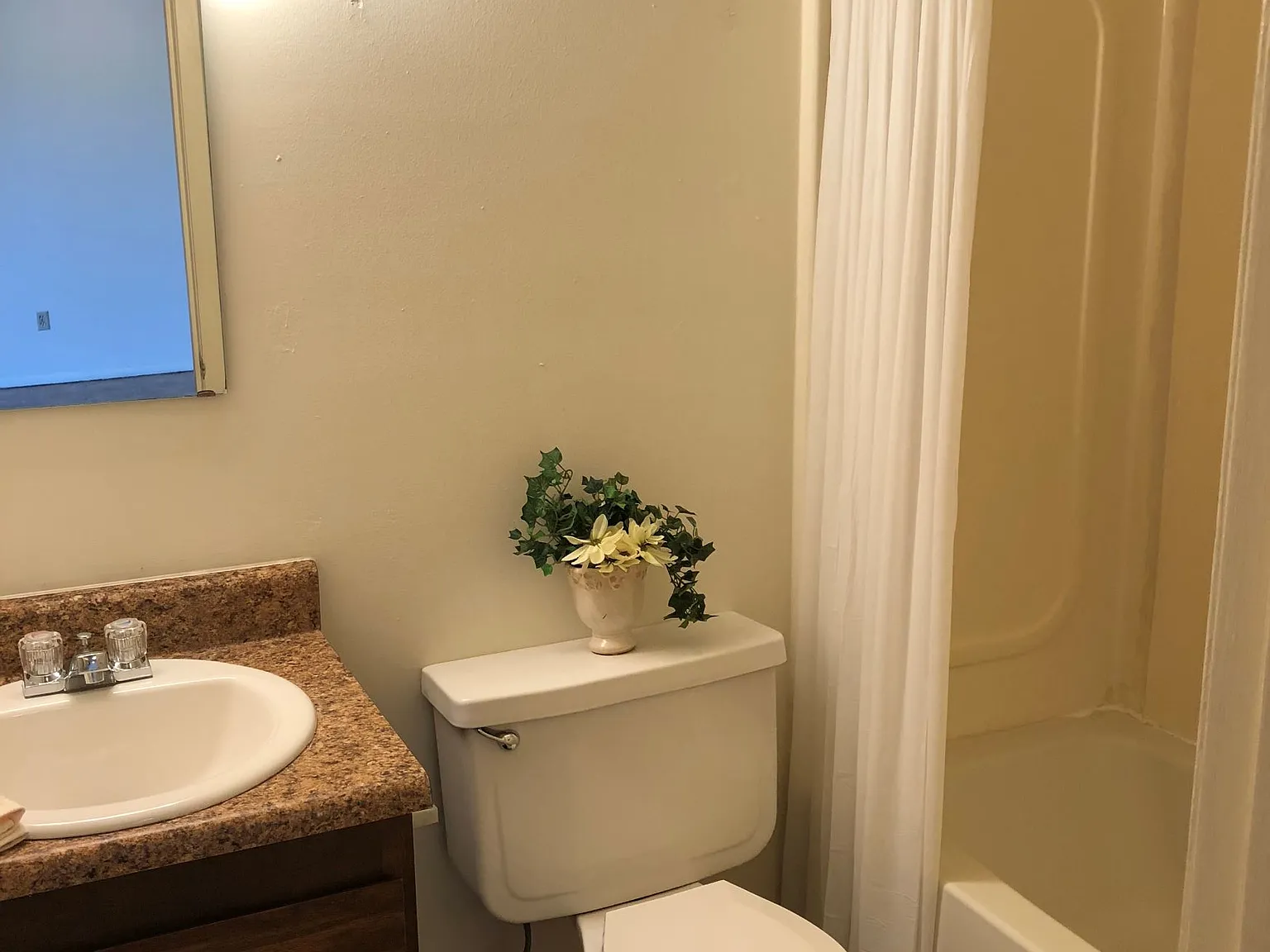 1 bed, 500 sqft, $600 — Photo 3