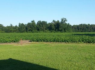 163 Connelly Farm Rd, Reevesville, SC 29471