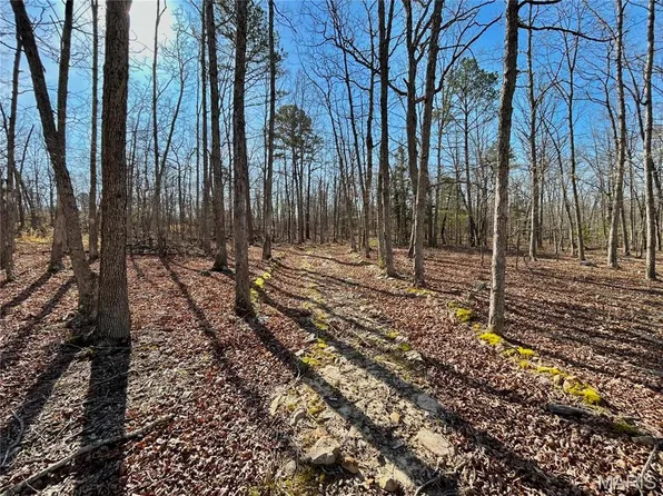 0 Tract County Rd #2-6570, Salem, MO 65560