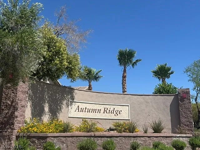 10959 Pumpkin Ridge Ave — Photo 45
