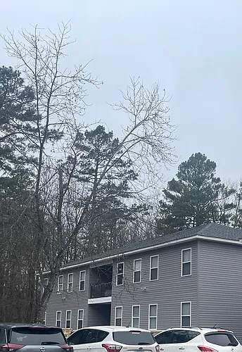 149 Bledsoe Cir #A Photo 1