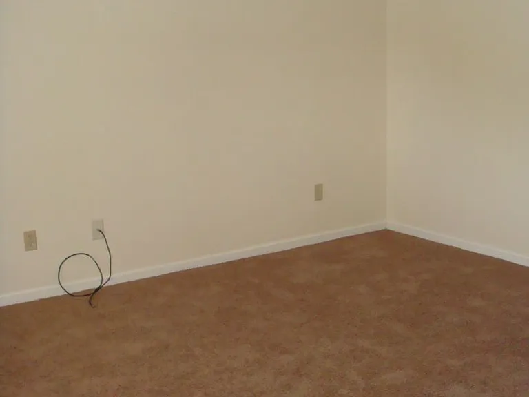 1455 Green St — Photo 3