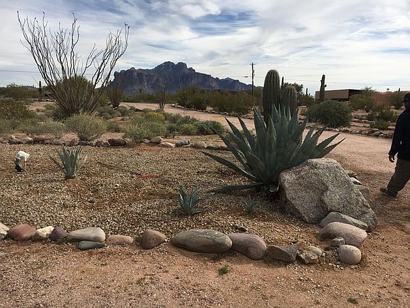 Driveway and view from front of home