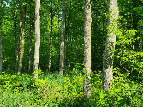 4499 Winesap Ct, Egg Harbor, WI 54209