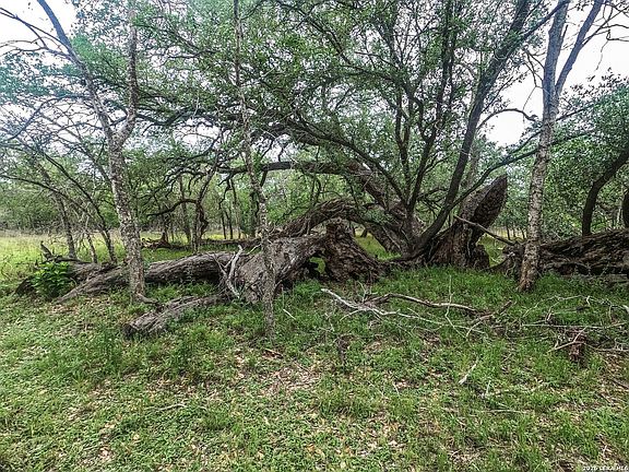 4th image of 8933 County Road 401 LOT 10B