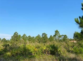 305 Louis Ave, Lehigh Acres, FL 33936