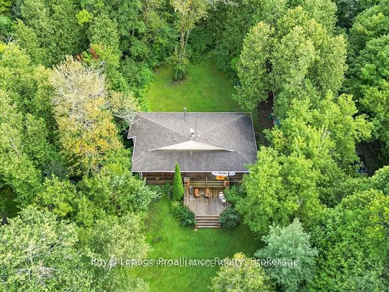 14246 Little Lake Rd — Photo 45