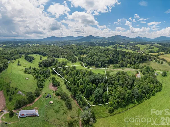 99999 Little Bo Ln, Leicester, NC 28748