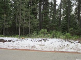 10088 Grizzly Flat Rd, Grizzly Flats, CA