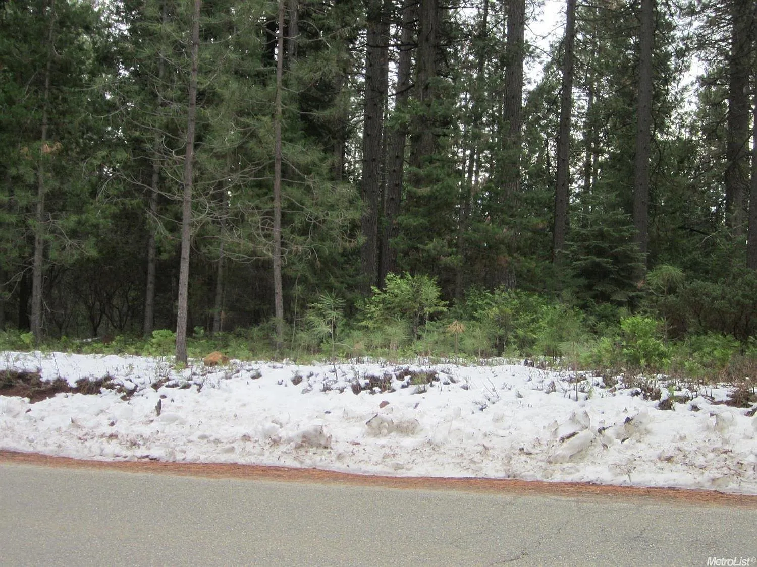 10088 Grizzly Flat Rd photo 1
