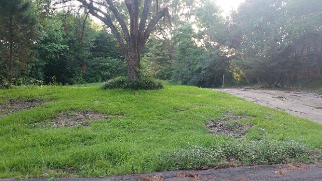 2nd image of 109 Meadow Lane Cir