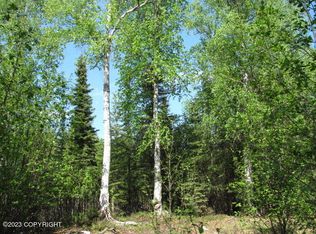 B002 W Blue Goose Rd, Wasilla, AK 99623