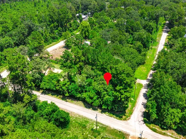 0 Elaine Ave, Shepherd, TX 77371