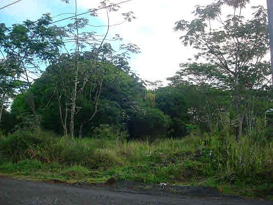 2nd image of 15-1963 12th Ave Lot 681