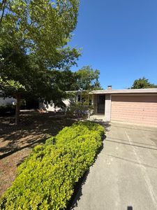 15063 Brewster Ave, San Jose, CA, 95124