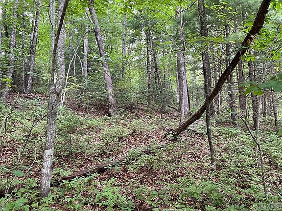 3rd image of Lot 49 Mayapple Drive